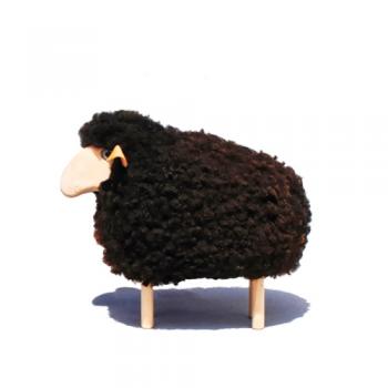Sheep, lamb standing, brown sheepskin
